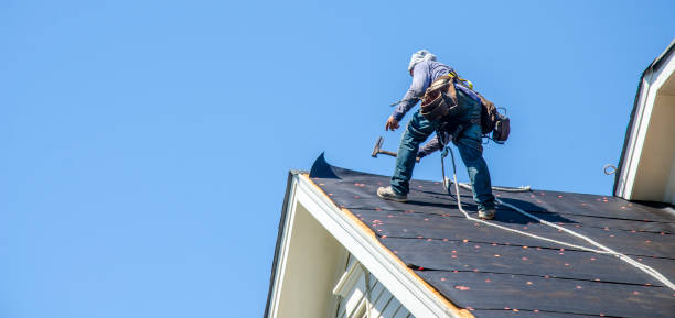 Roof Gutter Cleaning in Plano, KY